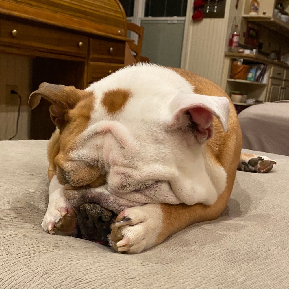 Meet your Posher, Taylor